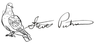 Header Logo